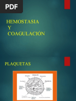 Plaquetas - Hemostasia - F. Coagulacion