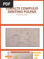 Esmalte Complejo Dentino Pulpar