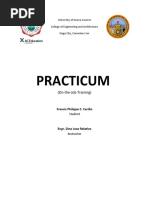 Practicum: (On-the-Job Training)