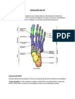 Osteología Del Pie - Inf 11111