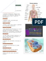 Notes in Human Anatomy and Physiology