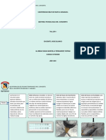 Taller 1 Tecnologia Del Concreto