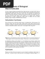 3.1: Synthesis of Biological Macromolecules