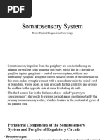 Somatosensory System: Duu's Topical Diagnosis in Neurology