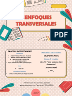 7 Enfoques Transversales