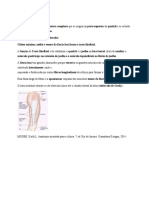 Resumo Anatomia Humana I Membro Inferior Teste