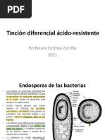 3 - Tincion Diferencial Acido Resistente