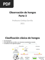 6 - Observacion de Hongos - 3