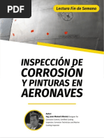 Inspeccion de Corrosion y Pintura en Aeronaves