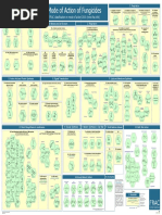 Fungicide - FRAC - MoA - Poster 2010 - Final - Version - Print