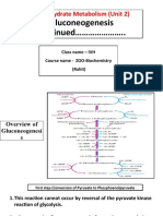 Carbohydrate Metabolism (Unit 2) : Gluconeogenesis Continued .