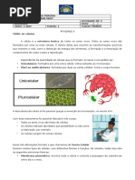 Atividade 2 Bimestre 6 Ano CFB