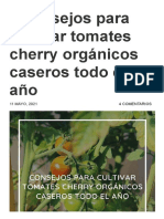 9 Consejos para Cultivar Tomates Cherry Orgánicos Caseros Todo El Año