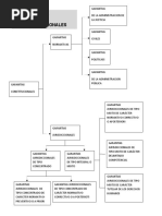 Mapa 1 Sistema de Garantias Constitucionales