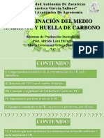 Contaminación Del Medio Ambiente y Huella de Carbono