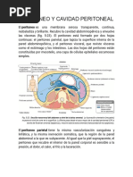 Peritoneo y Cavidad Peritoneal