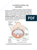 Pared Anterolateral Del Abdomen