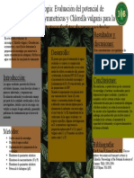 Poster Cientifico