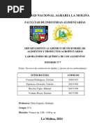 Informe 7 - Factores de Oxidación de Lípidos y Efectos de Los Antioxidantes