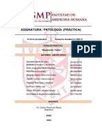 Informe Semana 4 Patologia Practica