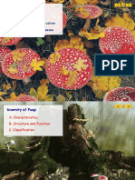 Fungi: Diversity of Fungi Reproduction & Classification Ecological Roles and Disease