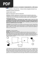 Plano Educação Fisica - Ping Pong.