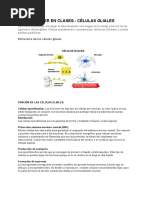 Taller en Clases. - Células Gliales