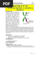 Informe 10