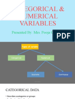 Categorical and Numerical Variables