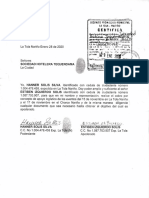 Documento Tiany