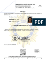 ANTECEDENTES POLICIACOS Puac