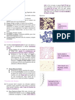 Prácticos de Microbiología