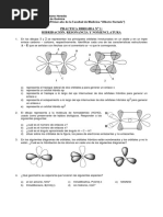 PD01QO-Hibridacion, Resonancia y Nomenclatura