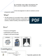 Lyophilization Technique