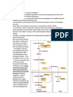 Bilirubin Metabolism