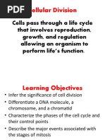 Cell Division