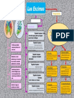 6 - Mapa Conceptual