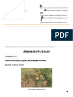 Árboles Frutales - Botanical-Online