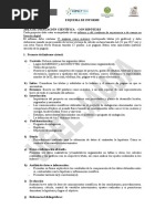 Esquema de Informe Ind Cientif