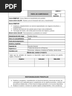 Perfil de Auditor Interno