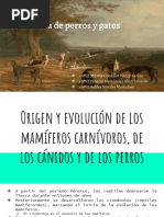 Perros y Gatos Zootecnia