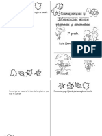 Album Semejanzas y Diferencias Entre Plantas y Animales