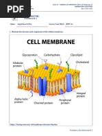 The Cell Structure: Worksheet No. 2 Name Angel Rose R. Rico Course/Year/Block BSFT-2A