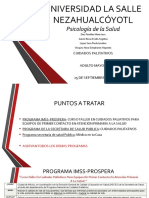 Programas de Cuidados Paliativos