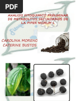 Analisis Fitoquimico Preliminar de Metabolitos Secundarios de La