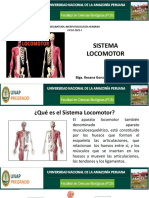 Aparato Locomotor Parte Axial