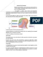 Neuralgia Del Trigemino