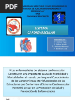 Sistema Cardiovascular