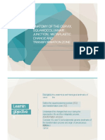 Anatomy of The Cervix, Squamocolumnar Junction, Metaplastic Change and Transformation Zone