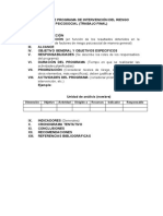 Esquema de Programa de Intervención Del Riesgo Psicosocial